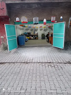 OKYANUS PETSHOP