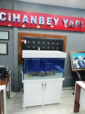 FLAMİNGO PETSHOP (Sultanbeyli)