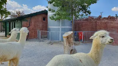 Karatay Belediyesi Hayvanat Bahçesi fotoğrafı