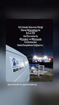 Vet Evimde Veteriner Kliniği
