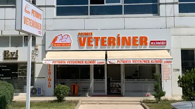 Eryaman Petonya Veteriner Kliniği fotoğrafı