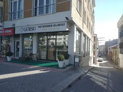Gürsu Veteriner Kliniği