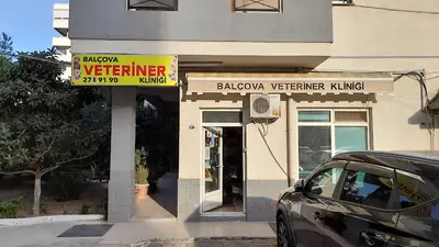 BALÇOVA VETERİNER KLİNİĞİ...