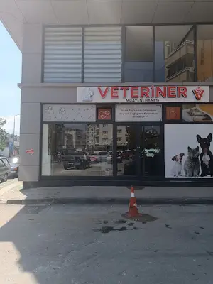veteriner