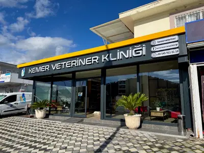 Kemer Pet Otel