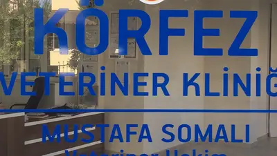 Körfez veteriner kliniği