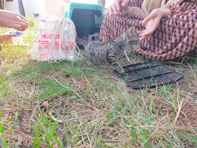 Ali Demir Veteriner Kliniği