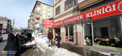 SEYRANİ VETERİNER KLİNİĞİ