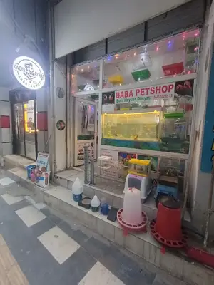 BABA PETHŞOP EVCİL HAYVAN DÜNYASI