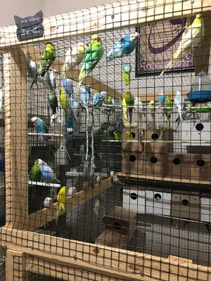 Selçuklu Petshop