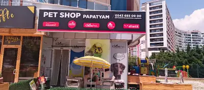 Papatyam Pet Shop