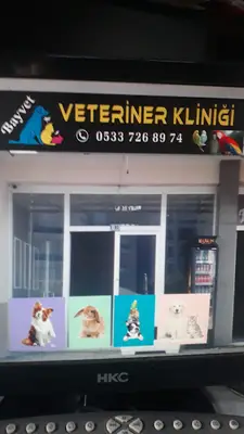 Bayvet veteriner kliniği fotoğrafı