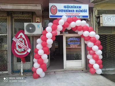 Güldiken Veteriner Kliniği