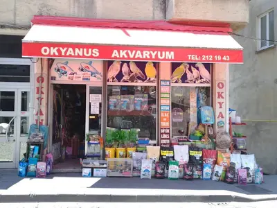 Giresun Akvaryum
