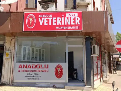 ANADOLU VETERİNER MUAYENEHANESİ