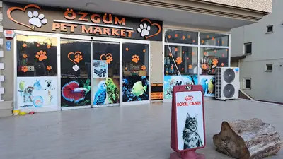 BULDAN ÖZGÜM PETSHOP