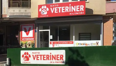 Nato Veteriner Kliniği