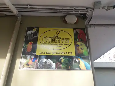 Güney Pet