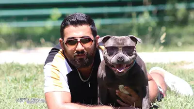 Staffturk Köpek Akademisi fotoğrafı