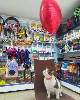 Zonguldak Candan Veteriner Kliniği