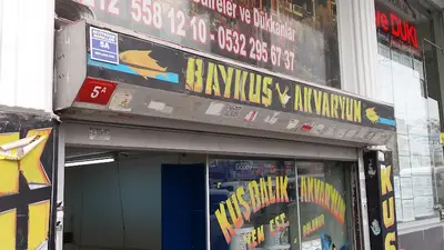 Baykuş Akvaryum