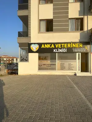Gömeç Mavi Veteriner Kliniği