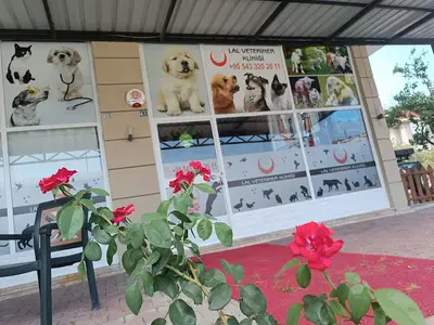 Kardelen Veteriner Kliniği