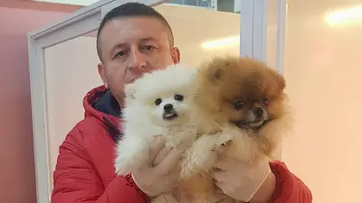 Yağ Pet