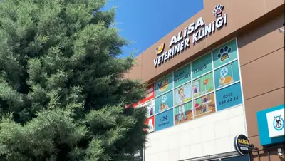 Veteriner Hekim Ali yalçin Semerci