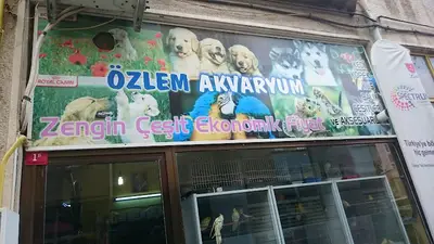 Özlem Akvaryum