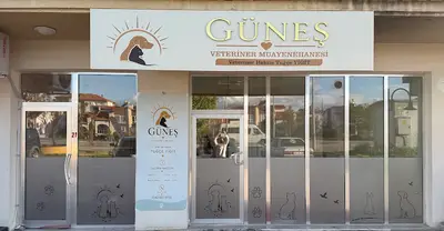 Güneş Veteriner Muayenehanesi