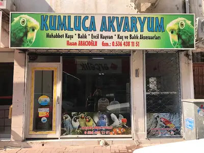 Gülsal Petshop