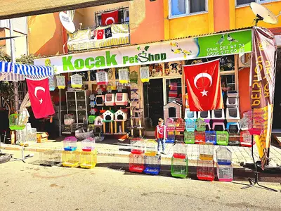KOÇAK PETSHOP