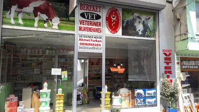 Bereket Veteriner Klinigi