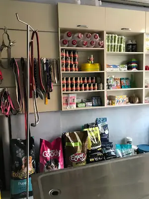 Korkmaz Veteriner Kliniği