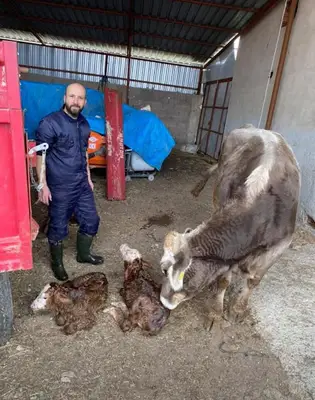 Kidak Veteriner Kliniği