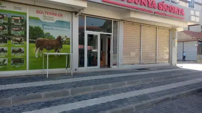 Gültekinler Veteriner Klıniği