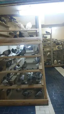 Can Kuş Evi