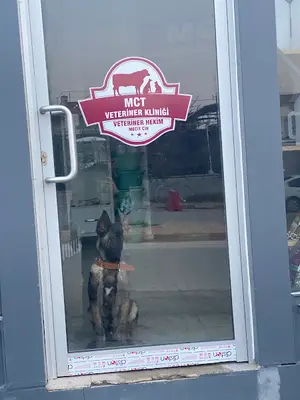 Karataş Veteriner Kliniği