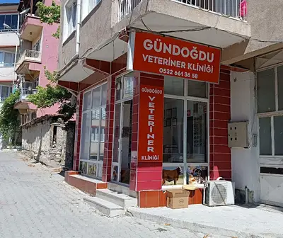 GÜNDOĞDU VETERİNER KLİNİĞİ DOMANİÇ