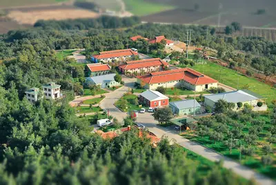 Osmangazi Belediyesi Sahipsiz Hayvanlar Doğal Yaşam Merkezi