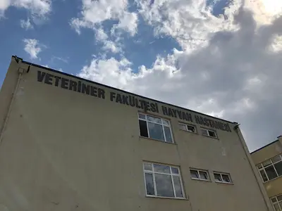Veterinerlik Fakültesi Hayvan Hastanesi fotoğrafı