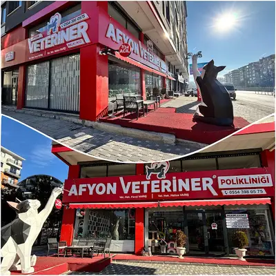 AFYON VETERİNER POLİKLİNİĞİ