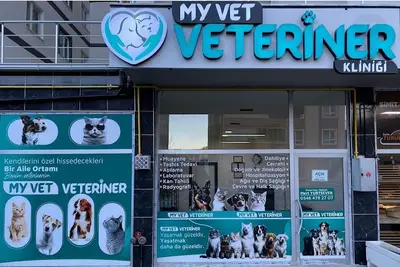 Çankırı Myvet Veteriner Kliniği