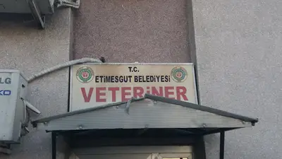 Etimesgut Belediyesi Veteriner İşleri Müdürlüğü fotoğrafı