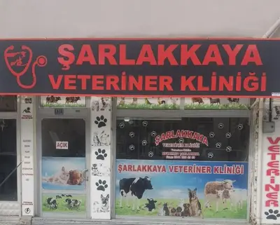 Akşehir Şarlakkaya veteriner kliniği