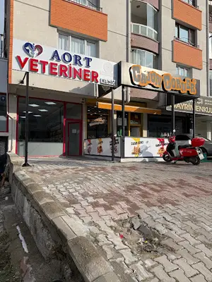 AORT VETERİNER KLİNİĞİ fotoğrafı