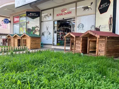Pati Pet Shop