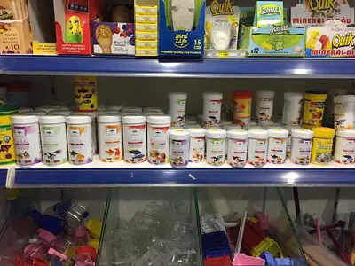 Çatalca Petshop