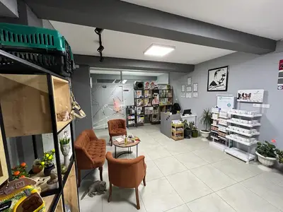 Cat And Dog's Evcil Hayvan Kliniği